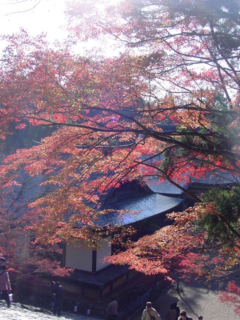 神護寺