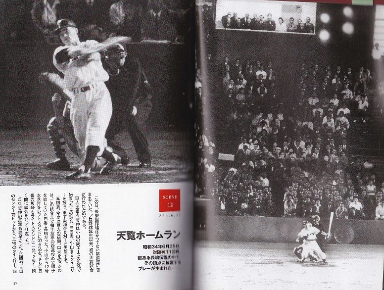ああ、わが青春“長嶋茂雄” : pitibo2000のブログ