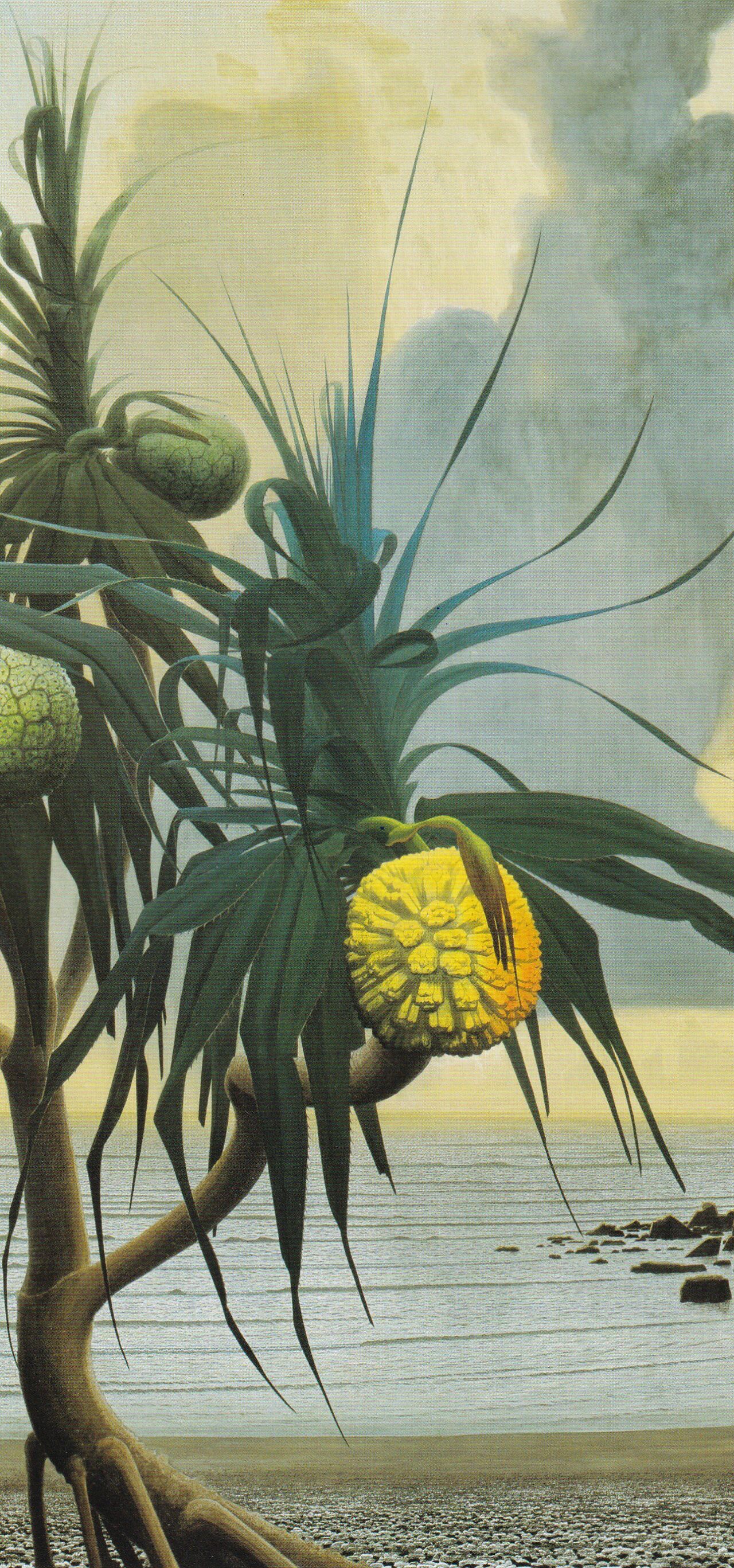 田中一村展」われ、天啓を得たり！ : pitibo2000のブログ