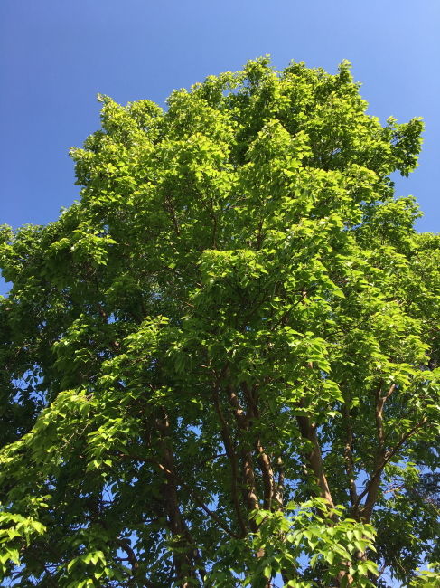 20190501_13