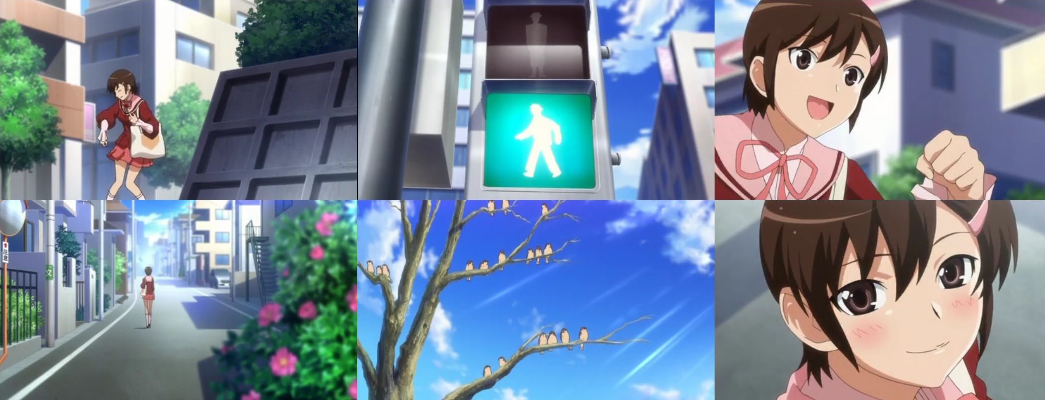神のみぞ知るセカイ 小阪ちひろの物語 ぴよあに 神のみぞ知るセカイ 小阪ちひろの物語 ぴよあに
