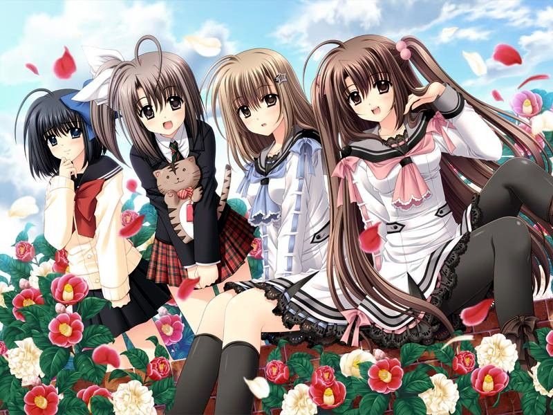 俺たちに翼はない に込められた熱いエール ぴよあに