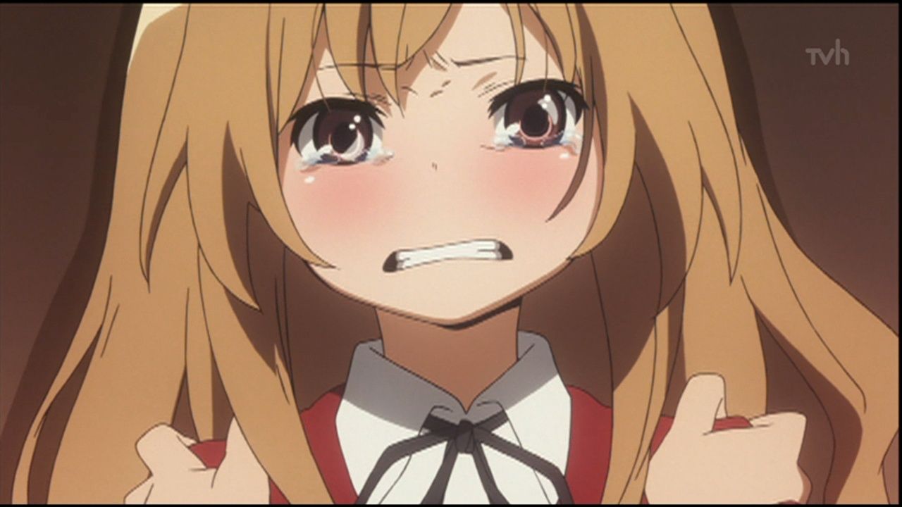 とらドラ 23話 進むべき道 ぴよあに