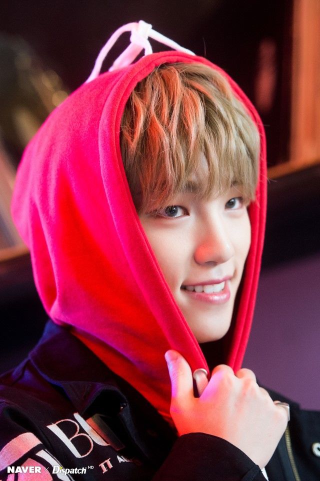 SEVENTEEN (세븐틴)/DINO(ディノ) 画像1 : ぴよぴよにっき