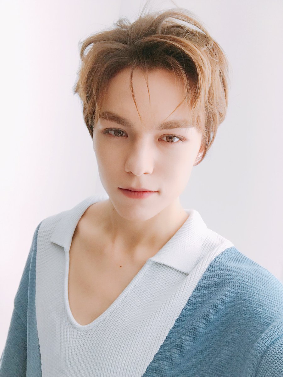 SEVENTEEN (세븐틴)/VERNON(バーノン) 画像11 : ぴよぴよにっき