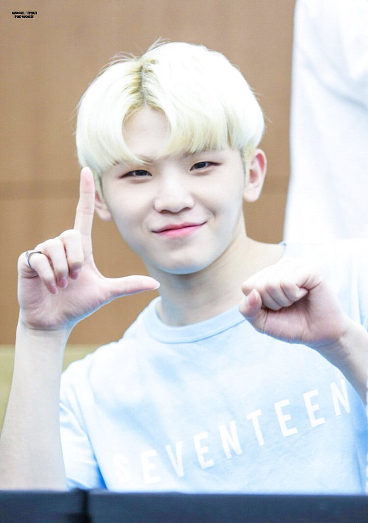 SEVENTEEN (세븐틴)/WOOZI(ウジ) profile : ぴよぴよにっき