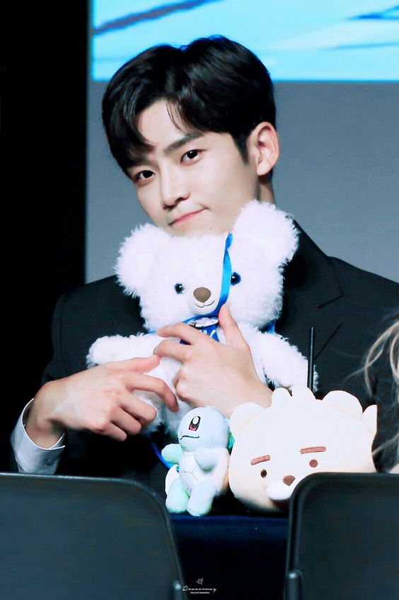 ROWOON ロウン ぬいぐるみセット ROWOON ロウン ぬいぐるみセット ロウンぬいぐるみセット