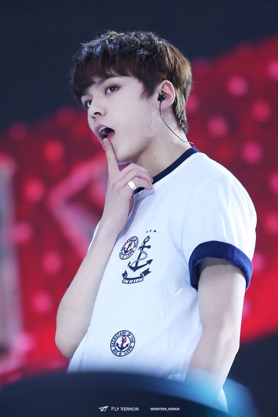 SEVENTEEN (세븐틴)/VERNON(バーノン) 画像6 : ぴよぴよにっき