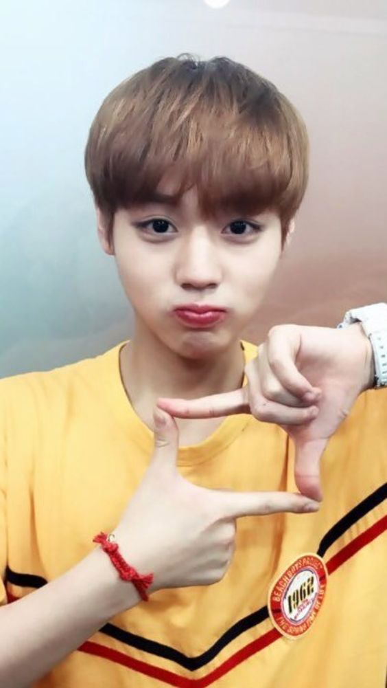 パクジフン ワナワン WannaOne Amazon.co.jp: パクジフン