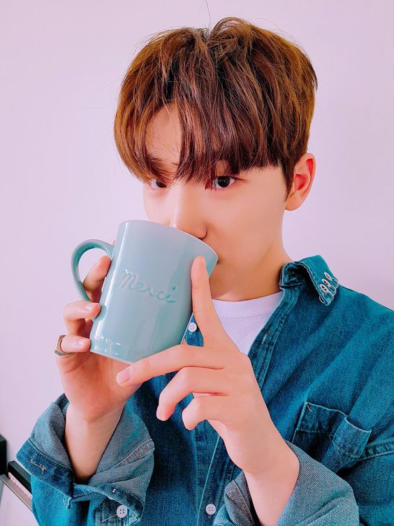 SEVENTEEN ディノまとめ売り DINO SEVENTEEN [RIGHT HERE] WORLD TOUR IN JAPAN』OFFICIAL