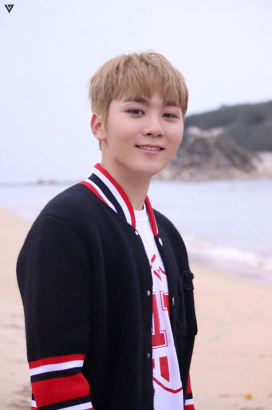 SEVENTEEN (세븐틴)/SEUNGKWAN(スングァン) profile : ぴよぴよにっき