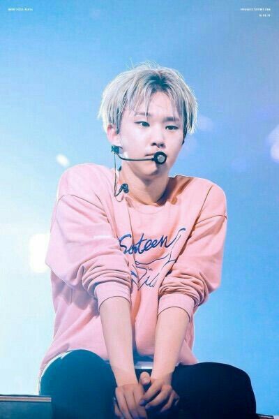 seventeen ホシ ᐛ )ｵｯﾌｩ🩷 #最強じゃん #seventeen #svt #セブチ #세븐틴