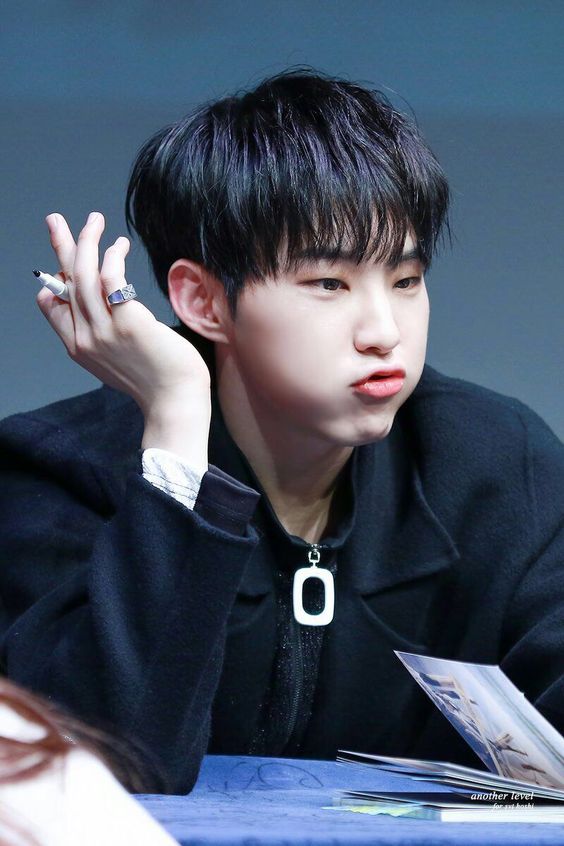 SEVENTEEN (세븐틴)/HOSHI(ホシ) 画像3 : ぴよぴよにっき