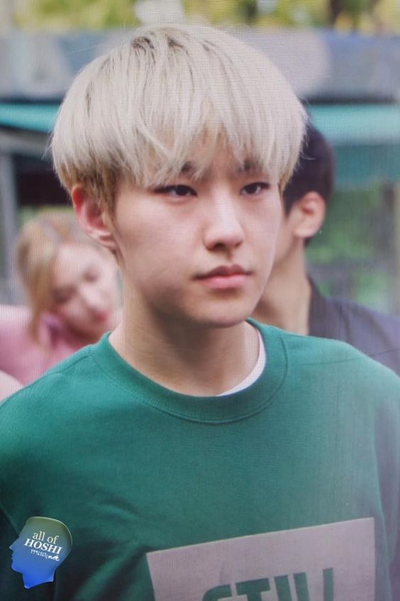 SEVENTEEN (세븐틴) ホシ/HOSHI 画像4 : ぴよぴよにっき