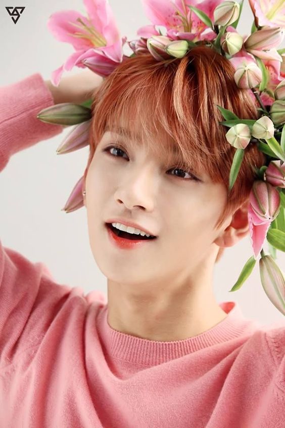 SEVENTEEN (세븐틴)/JOSHUA(ジョシュア) 画像6 : ぴよぴよにっき