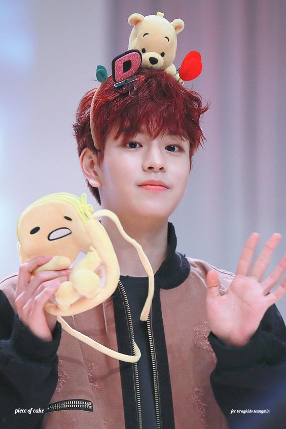 スキズ スンミン ぬいぐるみ A ver. Seungmin 승민 stray kids スンミン ぬいぐるみ 20cm 新品 マスター - メルカリ
