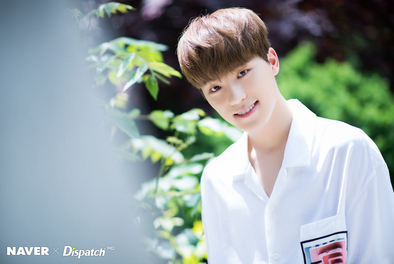 SEVENTEEN (세븐틴)/DINO(ディノ) 画像4 : ぴよぴよにっき