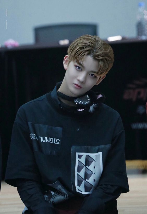 WannaOne（ワノワン）/ペ・ジニョン 배진영 画像1 : ぴよぴよにっき
