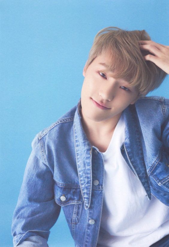 SEVENTEEN (세븐틴)/DINO(ディノ) 画像3 : ぴよぴよにっき