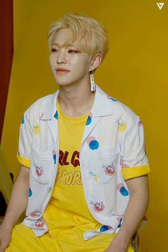 SEVENTEEN ホシ ④ ホシに自転車で迎えに来て欲しい系女子:) (@hoshi_96615_) / X