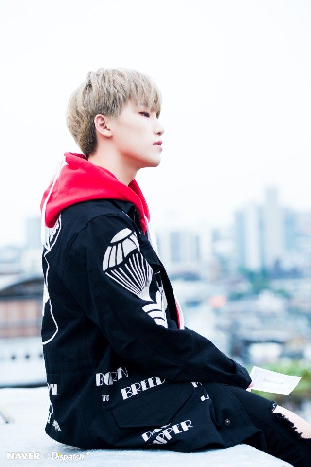 SEVENTEEN ディノまとめ売り DINO seventeen ミニティーン チャンダリ ディノ セット DINO - メルカリ