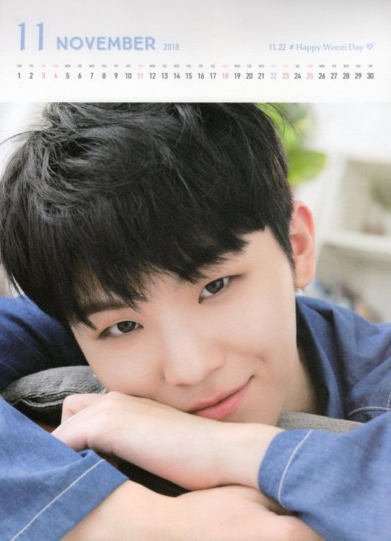 新品未開封 SEVENTEEN セブチ 8周年 イヤリング ウジ WOOZI SEVENTEEN SVT WOOZI 8TH ANNIVERSARY MERCHANDISE EARRINGS PHOTOCARD