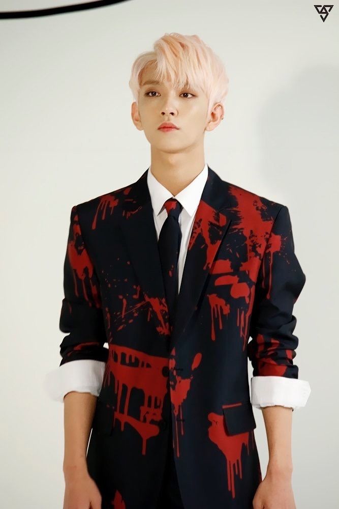 SEVENTEEN (세븐틴)/JOSHUA(ジョシュア) 画像5 : ぴよぴよにっき