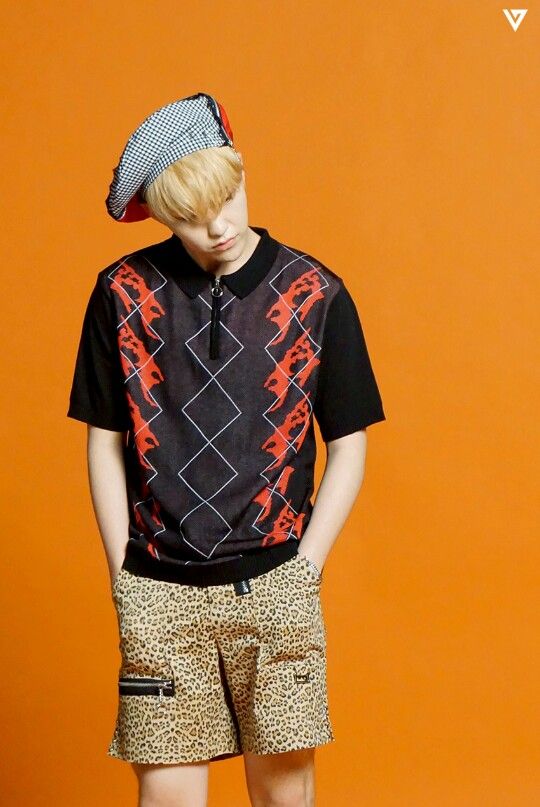 seventeen ホシ SEVENTEEN (세븐틴)/HOSHI(ホシ) profile : ぴよぴよにっき