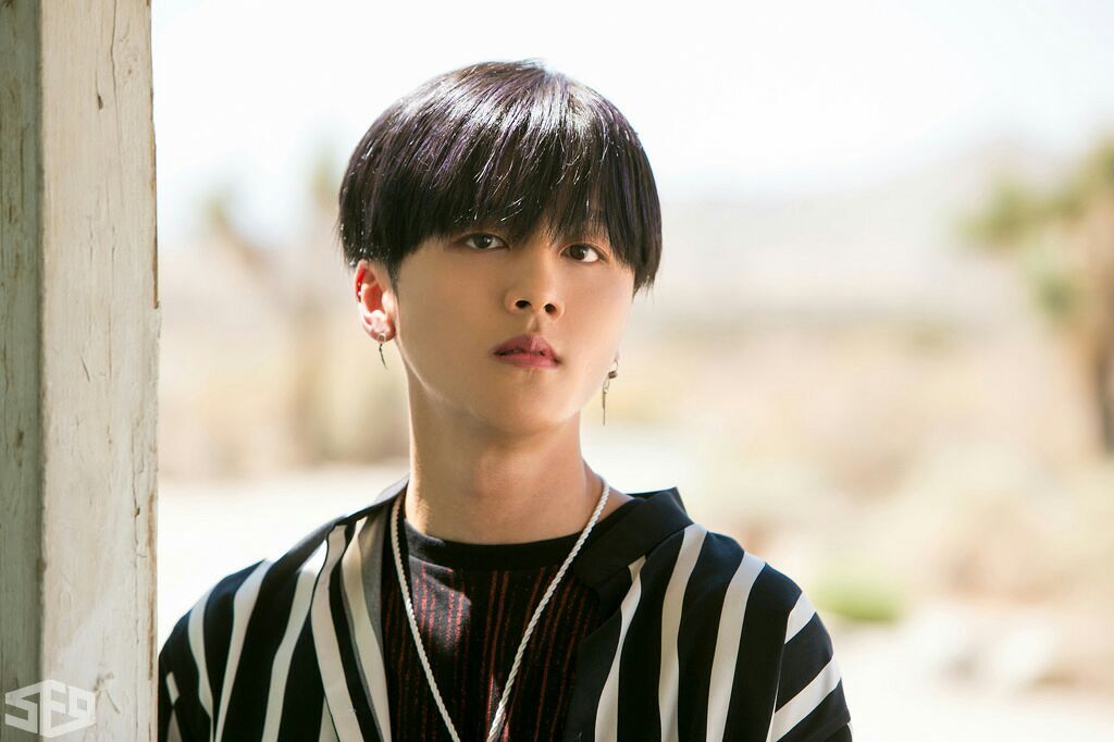 SF9 ヨンビン ツーショット参加券 早い者勝ち SF9 ヨンビン＆Golden Child デヨル、本日（3/29）揃って軍隊へ