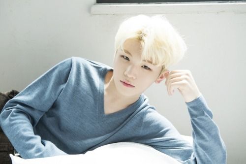 SEVENTEEN (세븐틴)/WOOZI(ウジ) 画像11 : ぴよぴよにっき