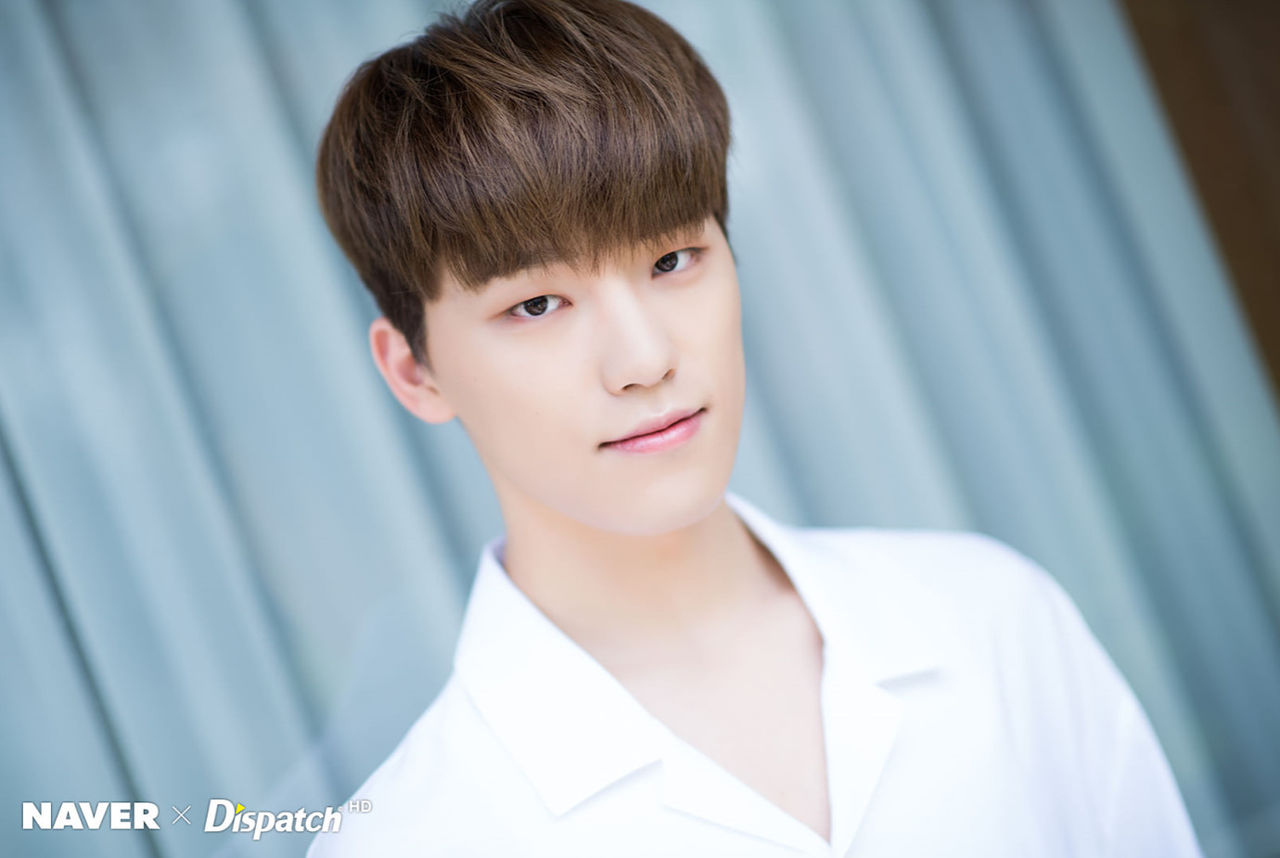 SEVENTEEN (세븐틴)/DINO(ディノ) 画像4 : ぴよぴよにっき