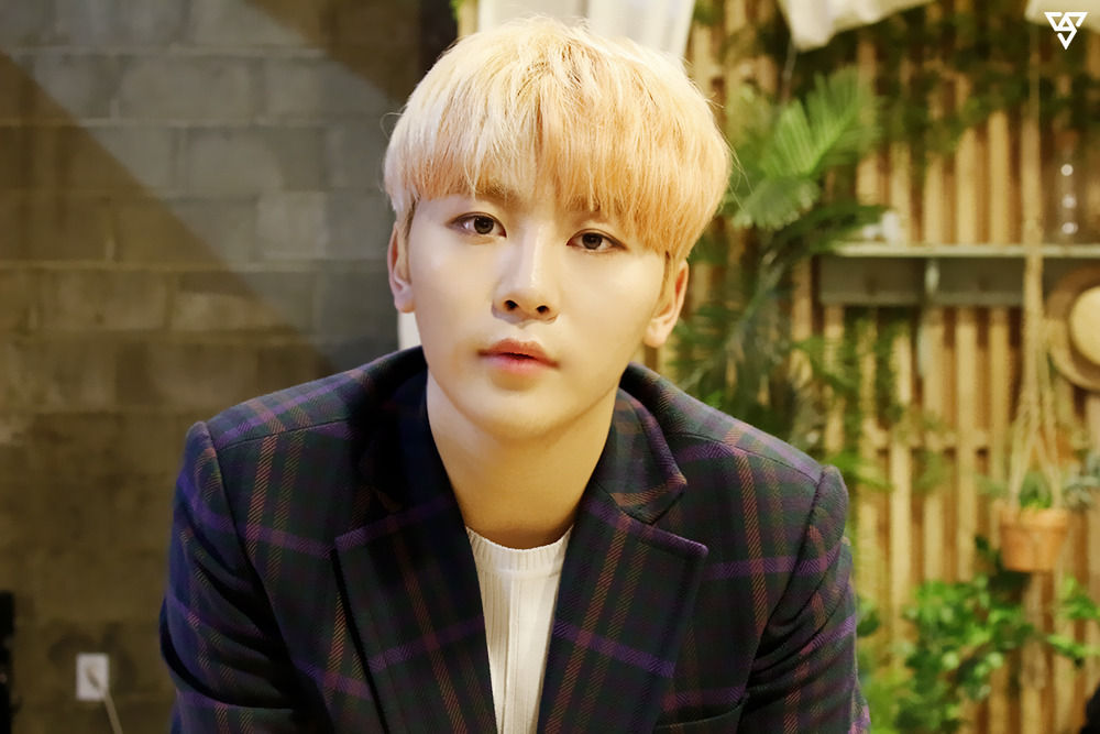 SEVENTEEN スングァン SEVENTEEN セブチ パワラブ スングァン 86番 - メルカリ
