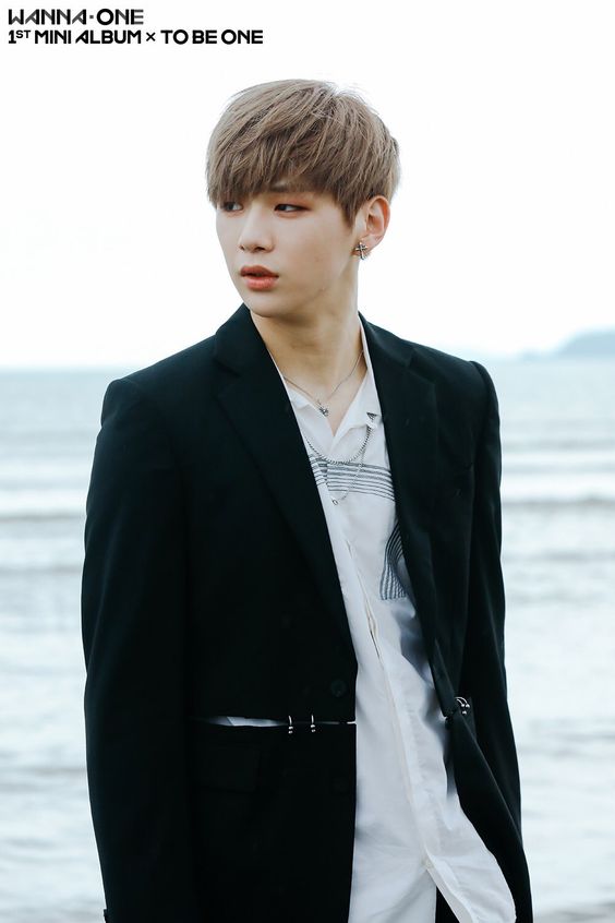 WannaOne カン・ダニエル 강다니엘 画像8 : ぴよぴよにっき