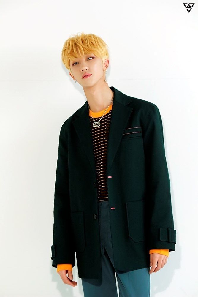SEVENTEEN ディエイト 5種セット】SEVENTEEN PetiTEEN THE 8 ディエイト 公式品 推し活