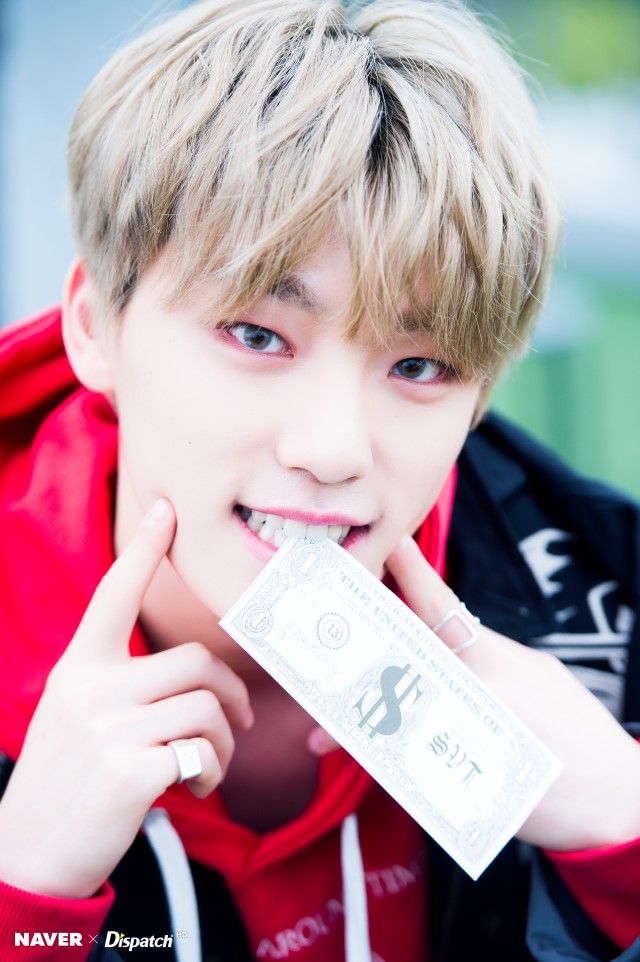 SEVENTEEN (세븐틴)/DINO(ディノ) 画像1 : ぴよぴよにっき