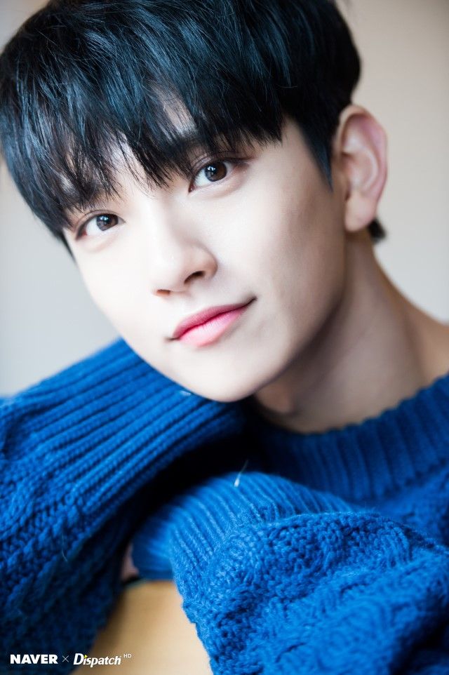 SEVENTEEN (세븐틴)/JOSHUA(ジョシュア) 画像7 : ぴよぴよにっき
