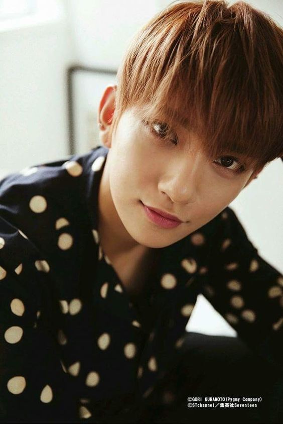 SEVENTEEN (세븐틴)/JOSHUA(ジョシュア) 画像6 : ぴよぴよにっき