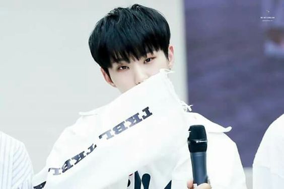 Seventeen 세븐틴 ホシ Hoshi 画像5 ぴよぴよにっき Seventeen 세븐틴 ホシ Hoshi 画像5 ぴよぴよにっき