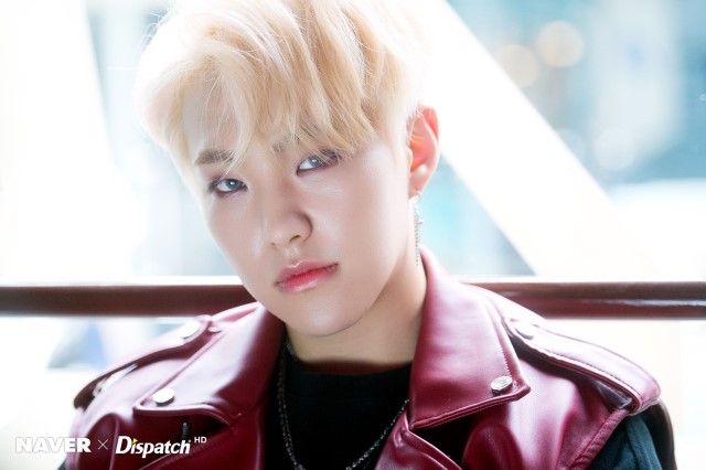 SEVENTEEN (세븐틴) ホシ/HOSHI 画像6 : ぴよぴよにっき