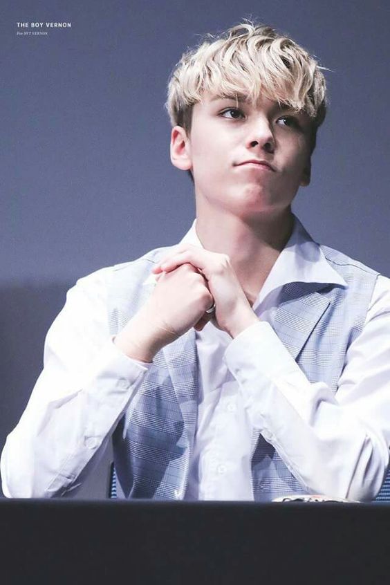 SEVENTEEN (세븐틴)/VERNON(バーノン) 画像5 : ぴよぴよにっき