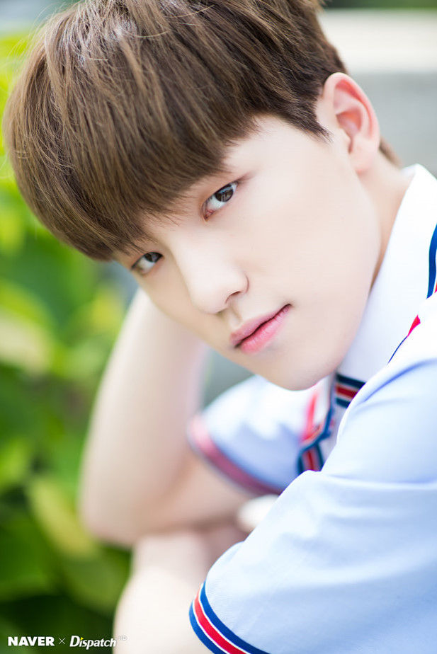 SEVENTEEN (세븐틴)/DINO(ディノ) 画像4 : ぴよぴよにっき