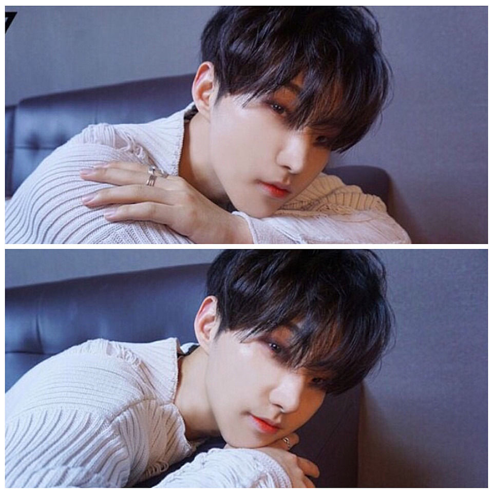 SEVENTEEN (세븐틴)/HOSHI(ホシ) profile : ぴよぴよにっき