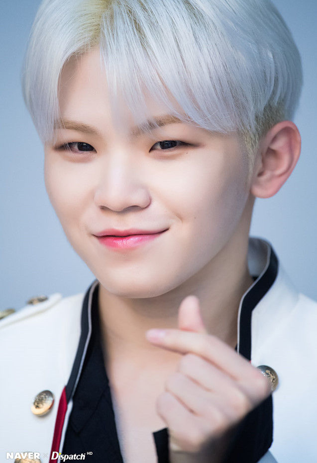 seventeen セブチ ウジ WOOZI まとめ売り SEVENTEEN WOOZI ウジ まとめ売り - メルカリ