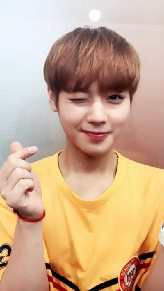パクジフン(WANNA ONE) パク・ジフン｜Wanna One｜応援投票、身長、年齢など