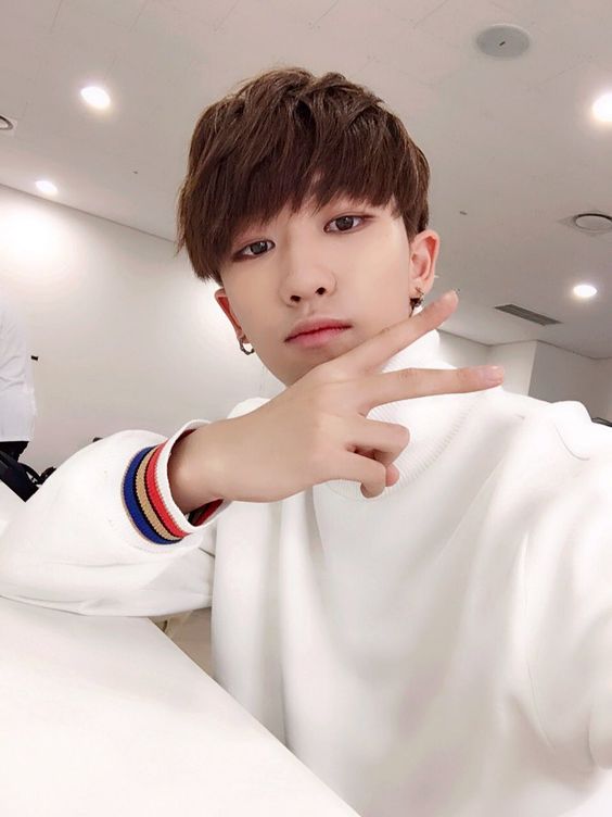 SEVENTEEN (세븐틴)/THE8(ディエイト) profile : ぴよぴよにっき