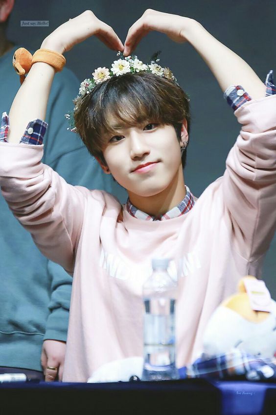 Stray Kids HAN ハン 画像1 : ぴよぴよにっき