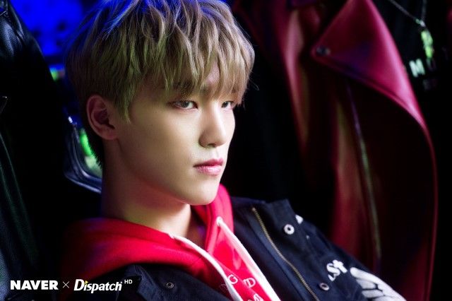 SEVENTEEN - seventeen ディノ PROFILE | SEVENTEEN Japan official site