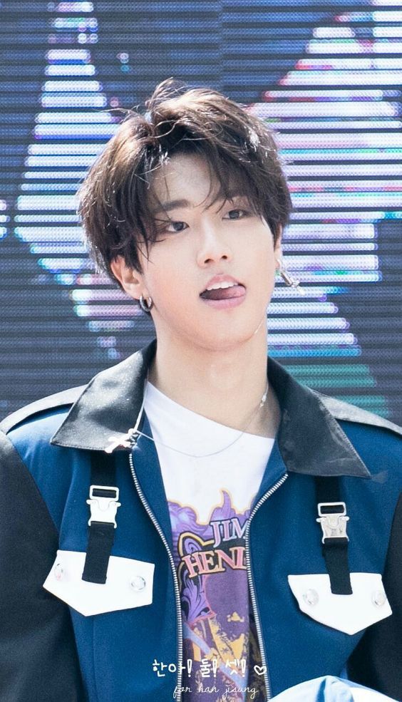 Stray Kids HAN ハン 画像1 : ぴよぴよにっき