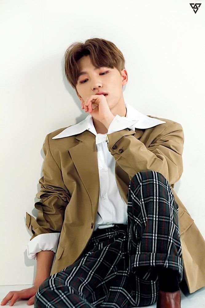 SEVENTEEN (세븐틴)/DINO(ディノ) 画像3 : ぴよぴよにっき