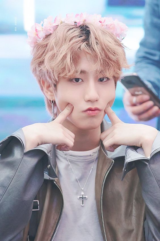 Stray Kids HAN ハン 画像1 : ぴよぴよにっき